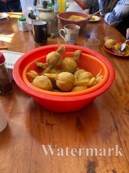 20230725154953-d44ff621