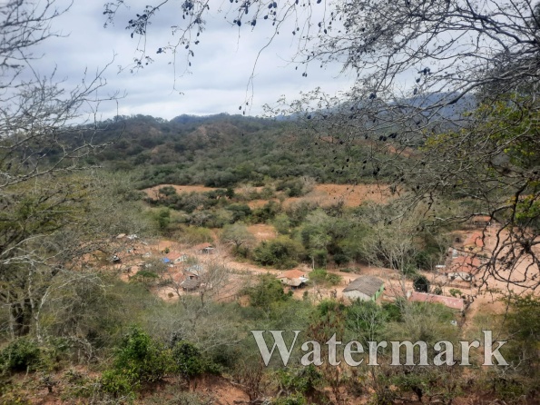 20230725154955-ddf4d3ea