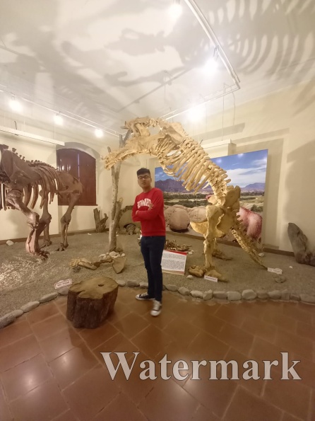 20230726130347-8f24cf78