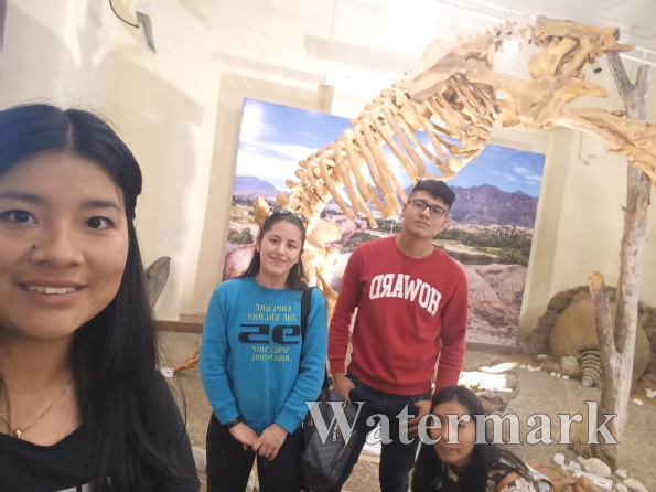 20230726130347-f8597095